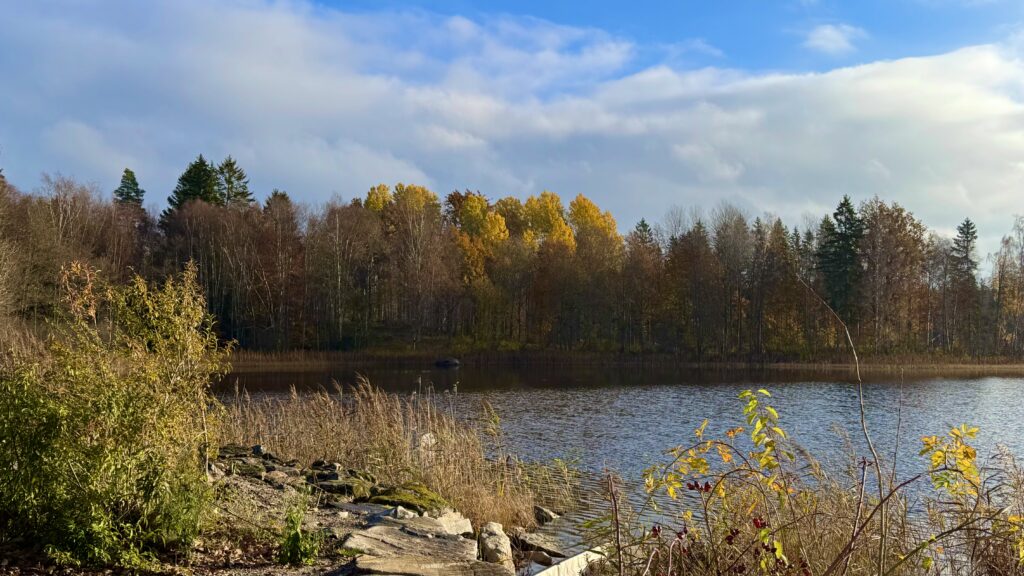 Herbstfarben am Rågebodasjön
